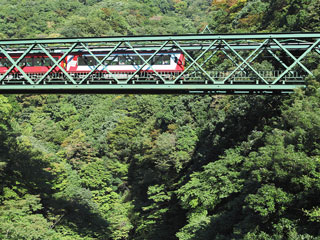 早川渓谷を渡る箱根登山電車